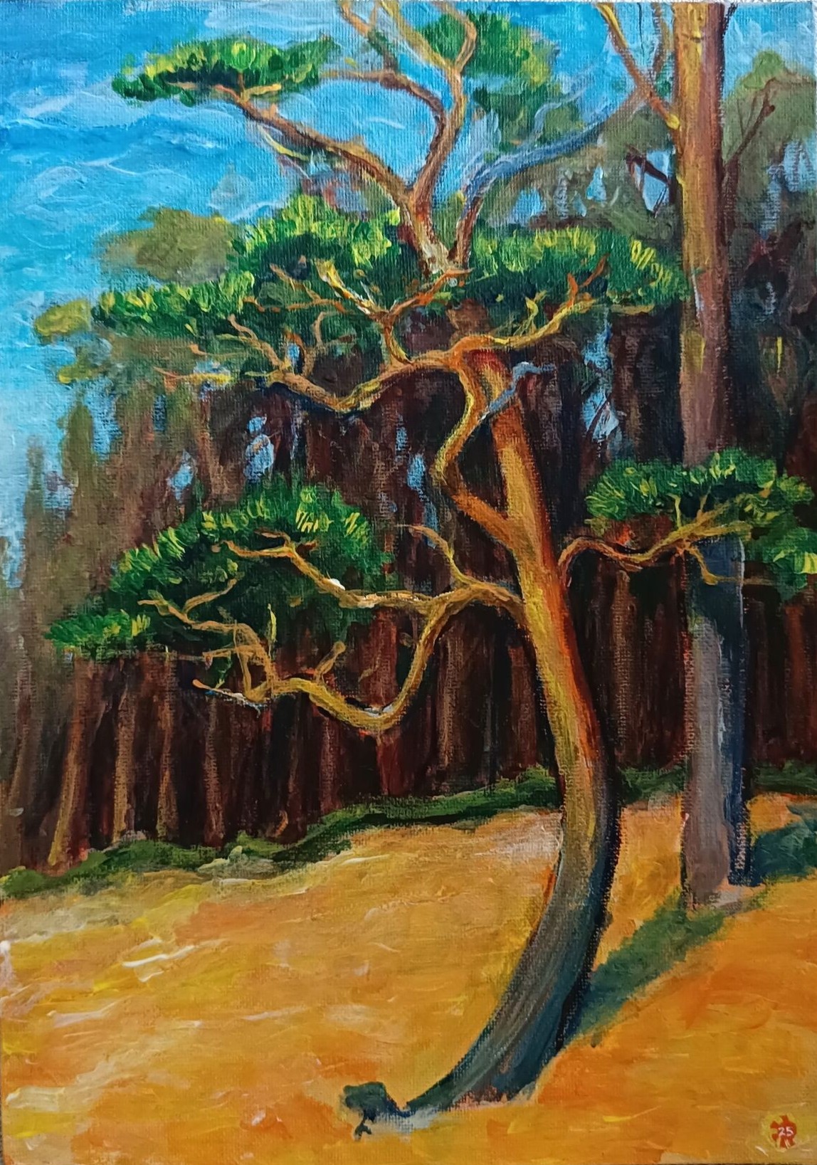 Baltic Pine